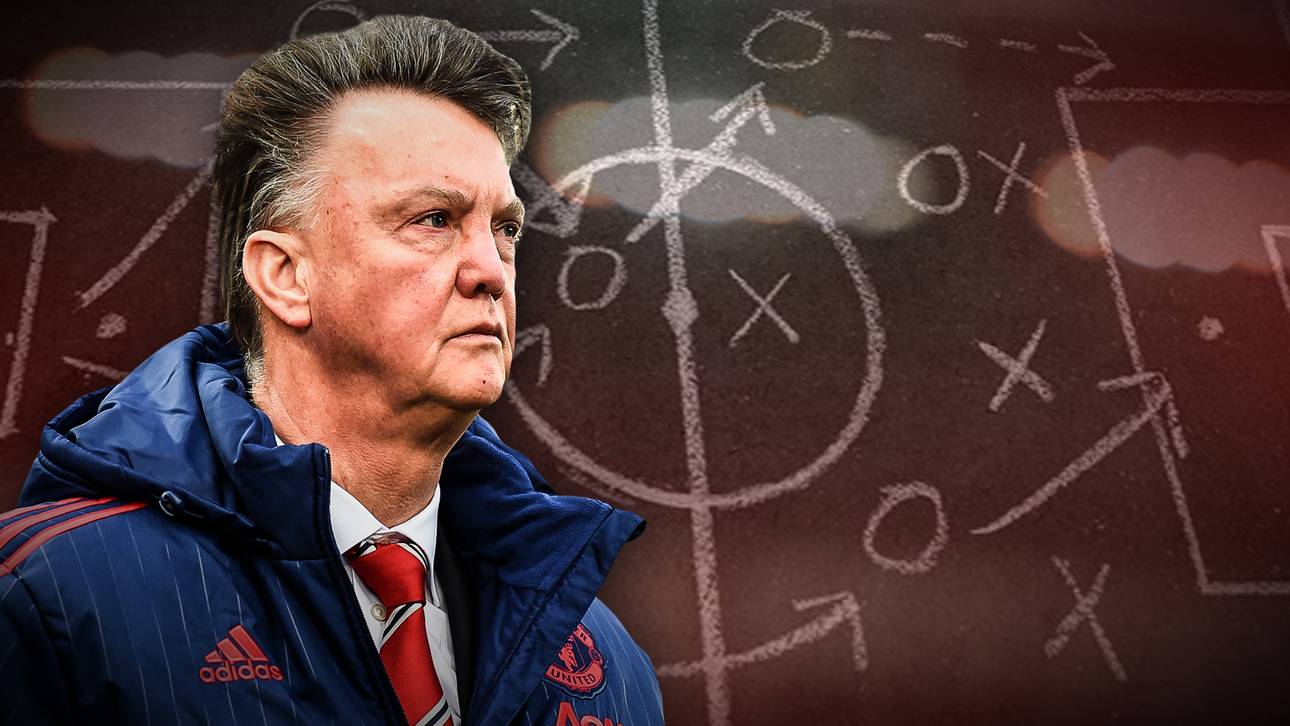 Daran krankt van Gaals Mannschaft