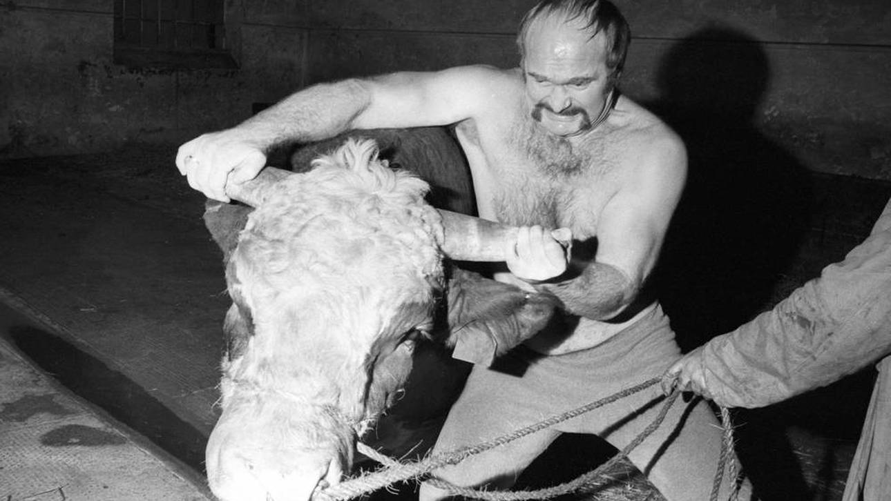 Schillernder deutscher Kultstar tot