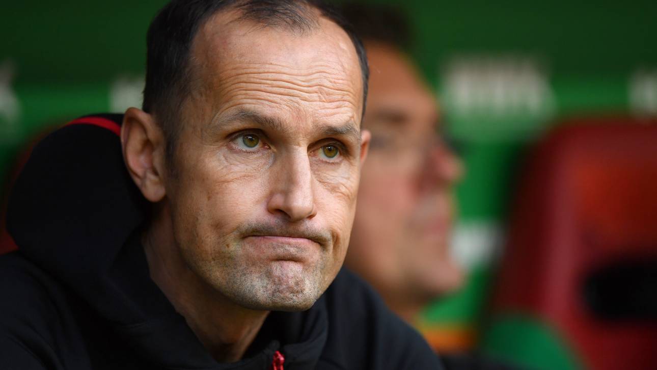 Schwalbe verfolgt Herrlich im Urlaub