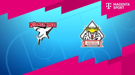 Kölner Haie - Pinguins Bremerhaven: Tore und Highlights | PENNY DEL