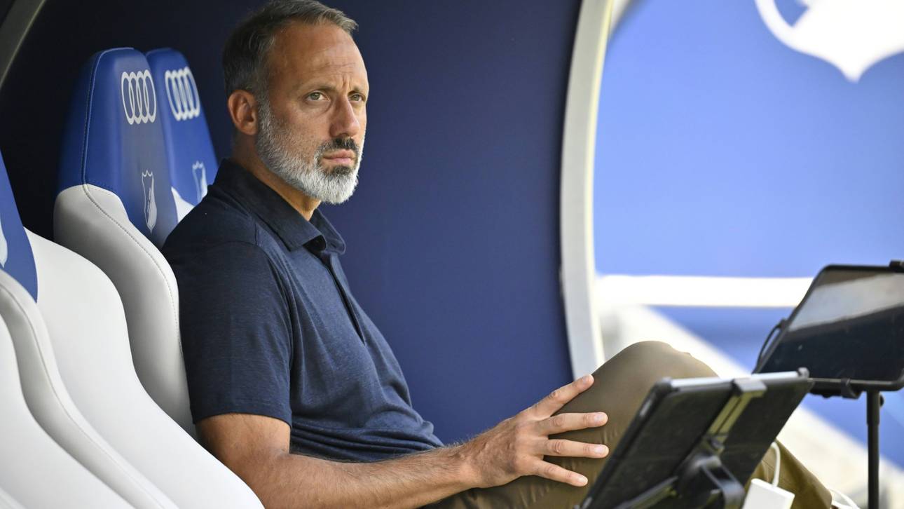 Transfer-Offensive: TSG-Coach überrascht