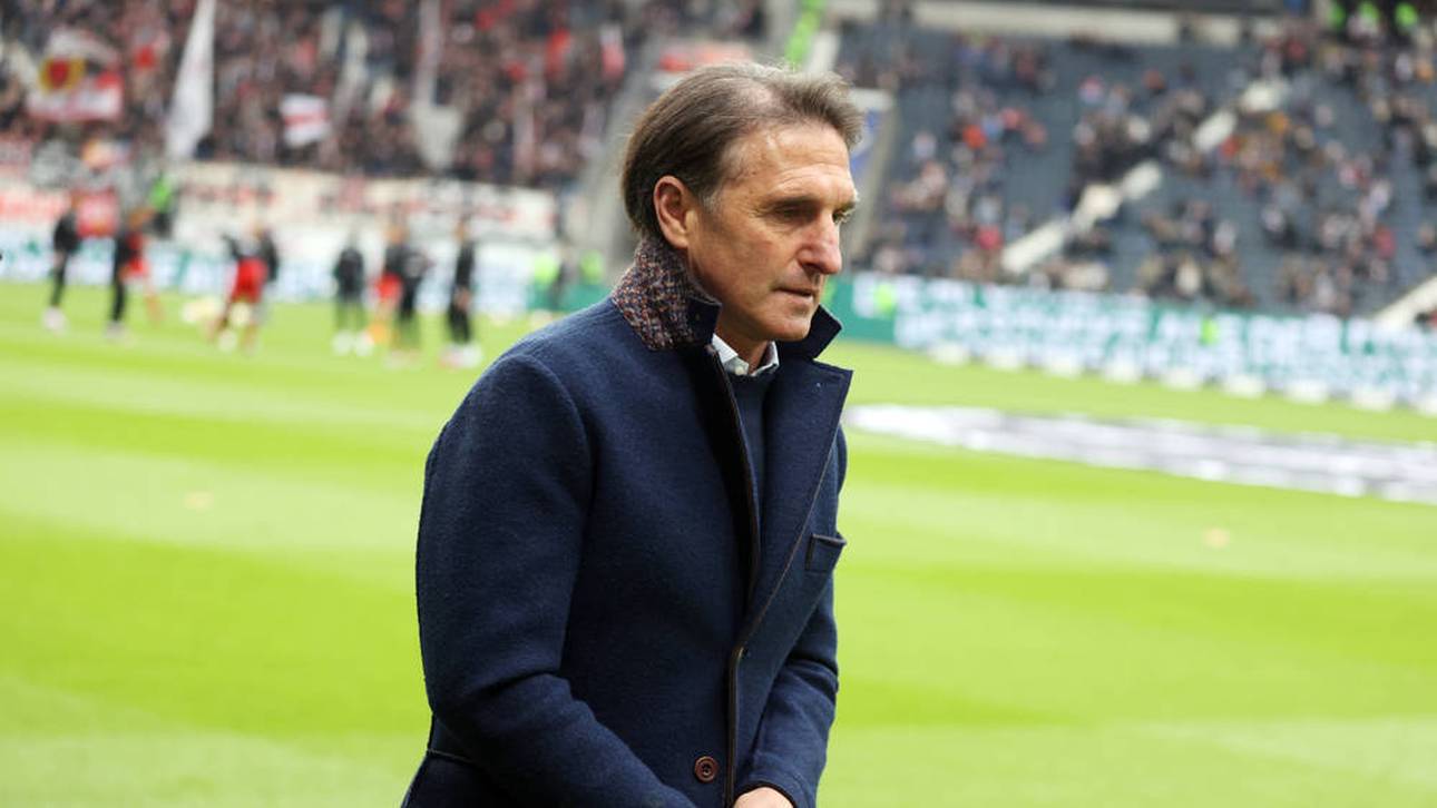 Labbadia-Aus! Nachfolger schon fix