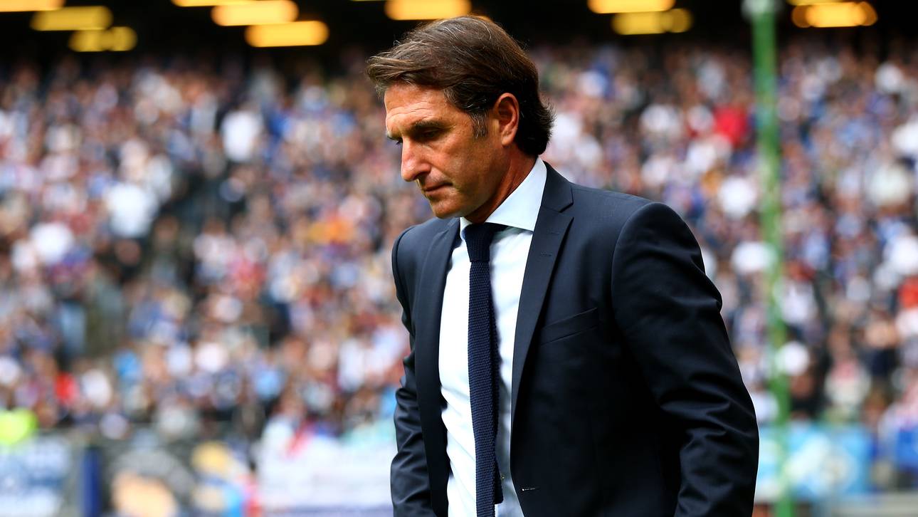 Geldstrafe für HSV-Trainer Labbadia