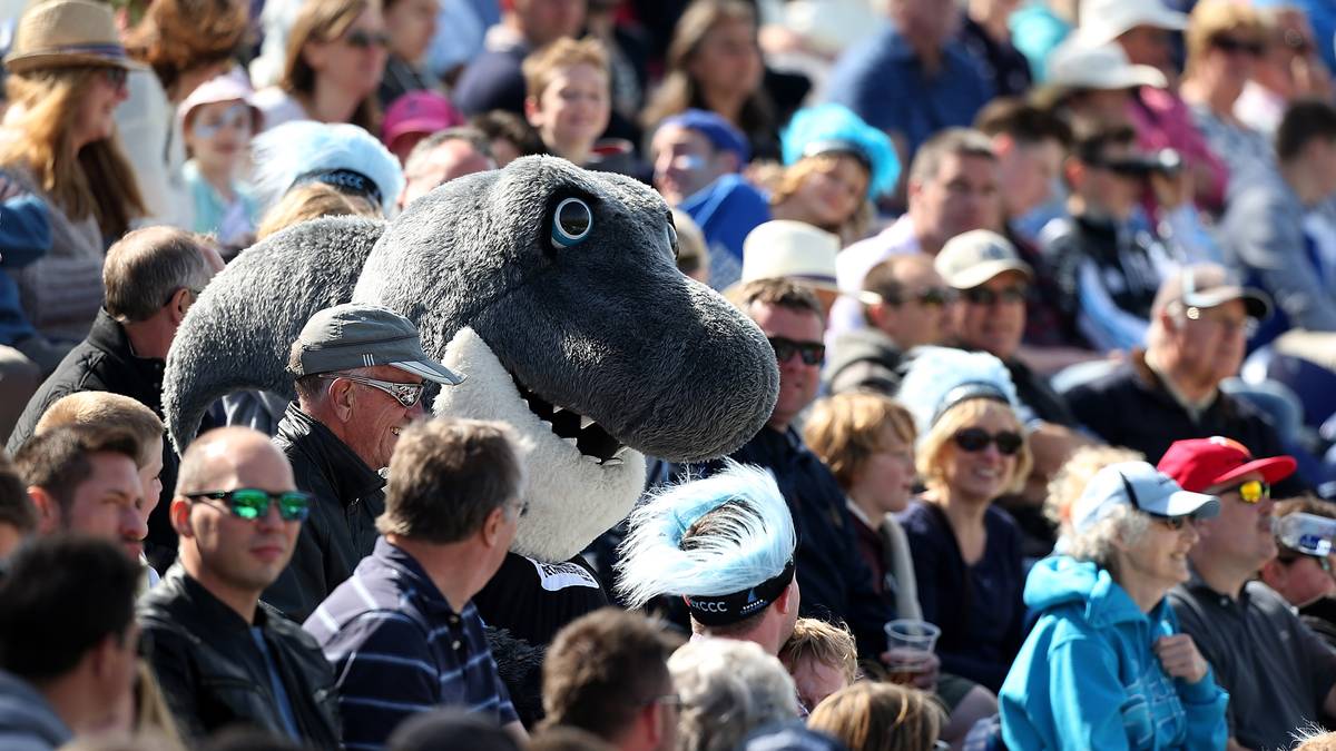 Von solchen Kalibern hält er sich lieber fern. In Sussex mischt sich das Maskottchen unter die Fans