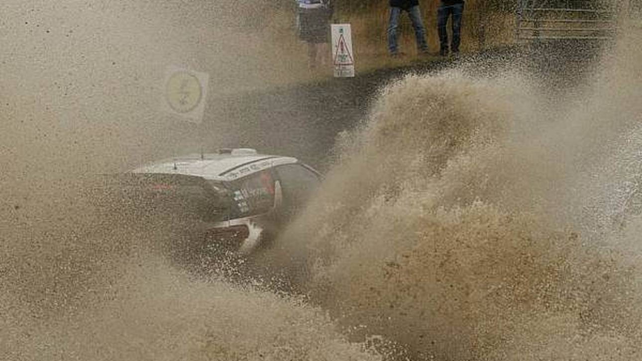 Wales: 65 Meldungen sorgen für gute Stimmung