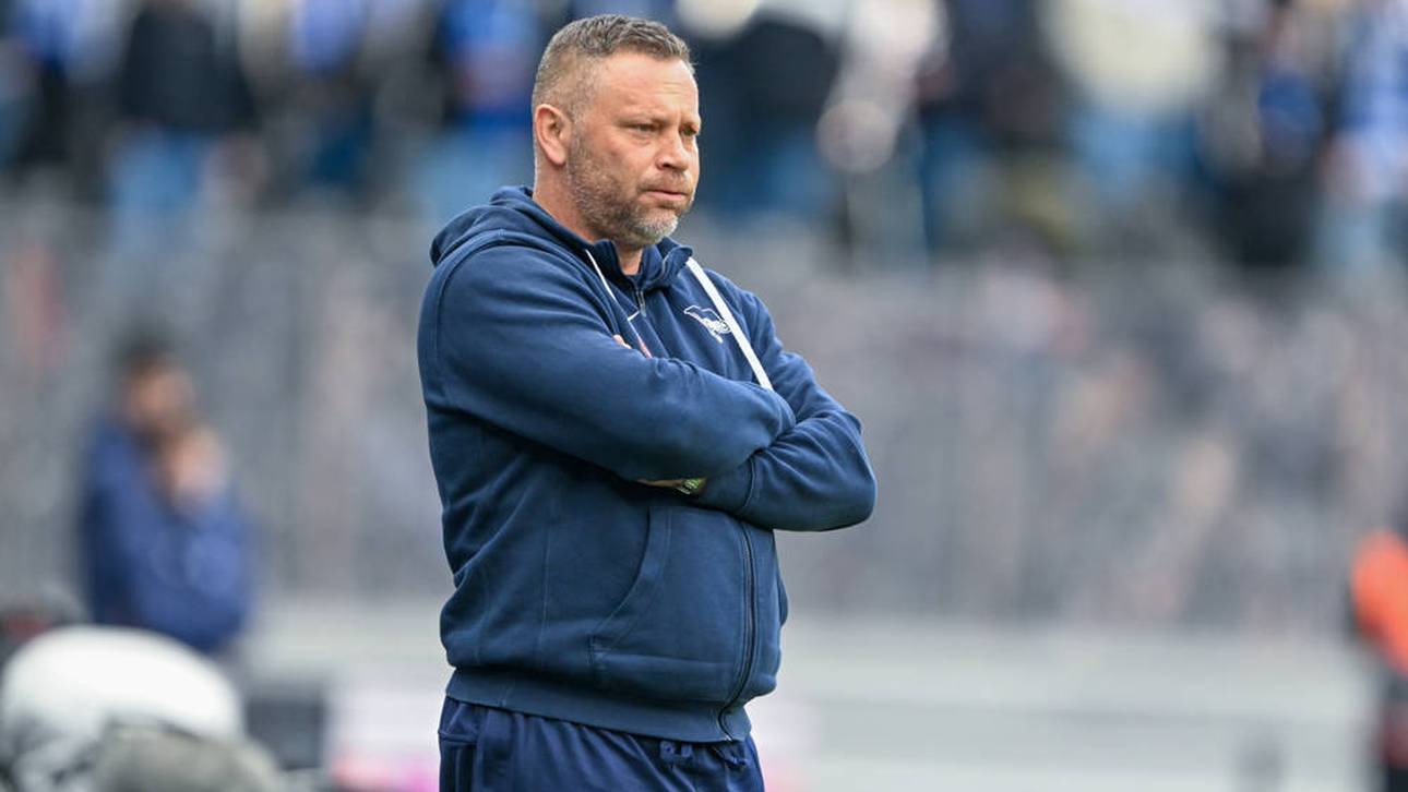 Dardais Aus wird konkreter