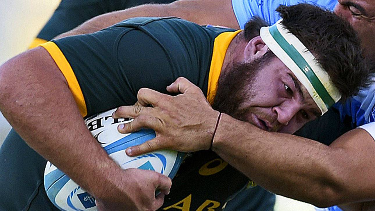 Biss-Verdächtigung schockt Springboks