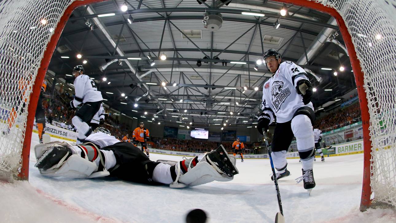 Grizzlys mit drei Matchbällen