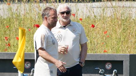 Rudi Völler zeigt sich von der Entwicklung von Kai Havertz begeistert: "Er hat den nächsten Schritt gemacht, er ist ein gestandener Nationalspieler. Er kann vier, fünf Positionen auf Weltklasseniveau spielen."