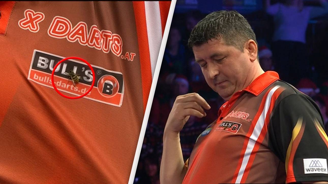Suljovic trotzt Wespen-Attacke