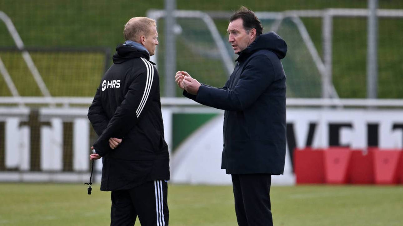 Schalke-Fans wüten wegen Wilmots