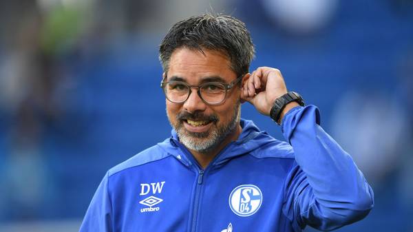 Schalke-Trainer David Wagner