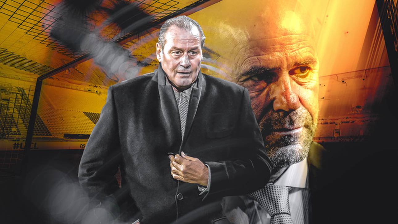 Bosz weg? Das rät Stevens dem BVB