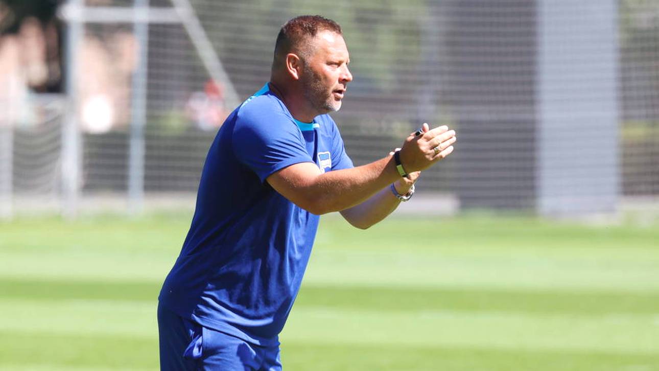 Verwirrung um Hertha-Coach Dárdai