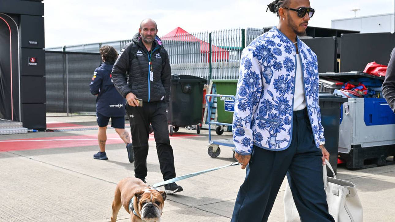 Hamilton trauert um geliebten Hund