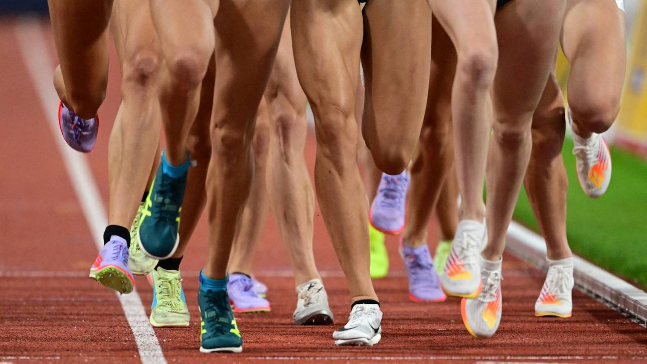 Zentrum für Safe Sport: Rechtsgutachten veröffentlicht