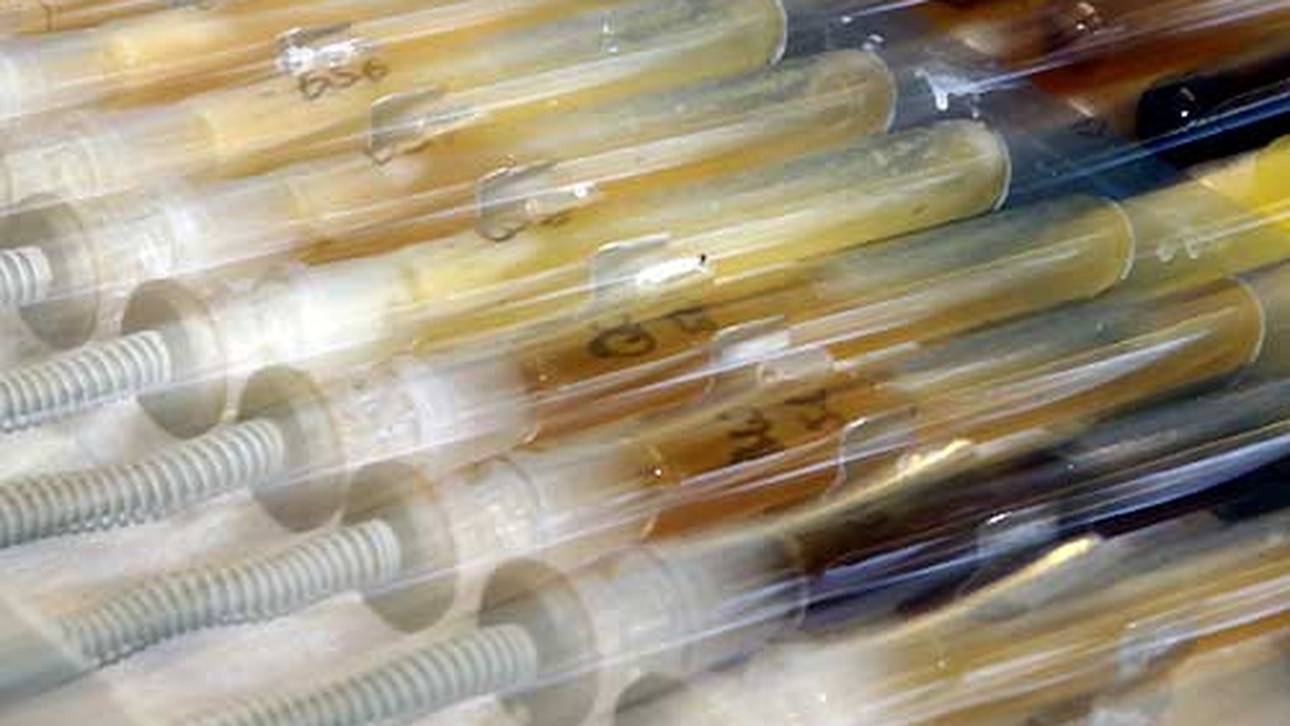 WADA zeigt Milde mit Spanien