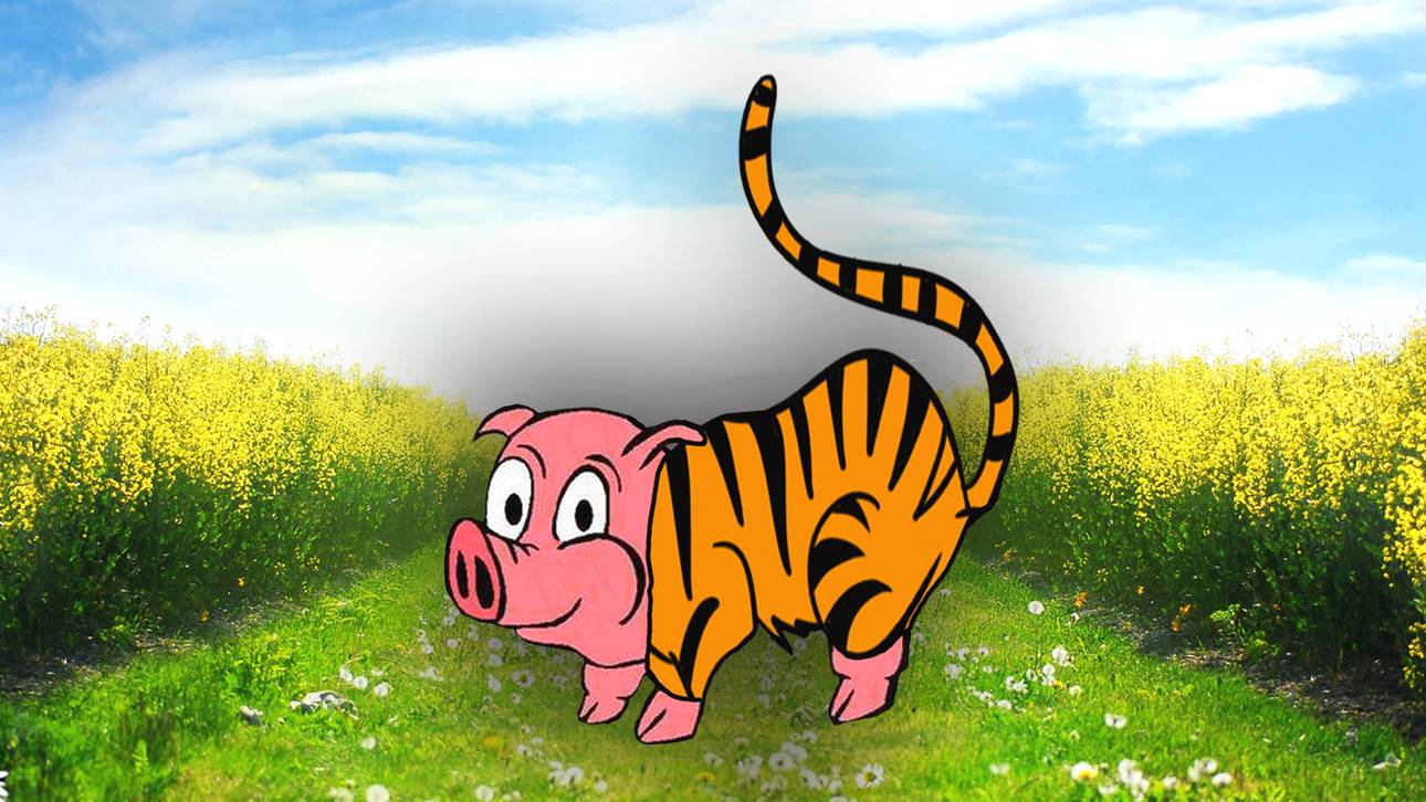 „Schweinteiger“ sorgt für Belustigung