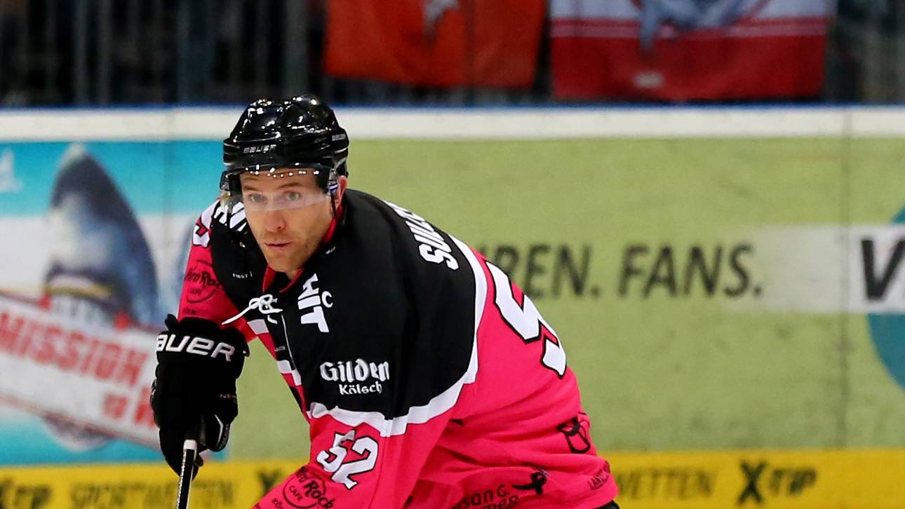 Haie beenden Hamburger Siegesserie