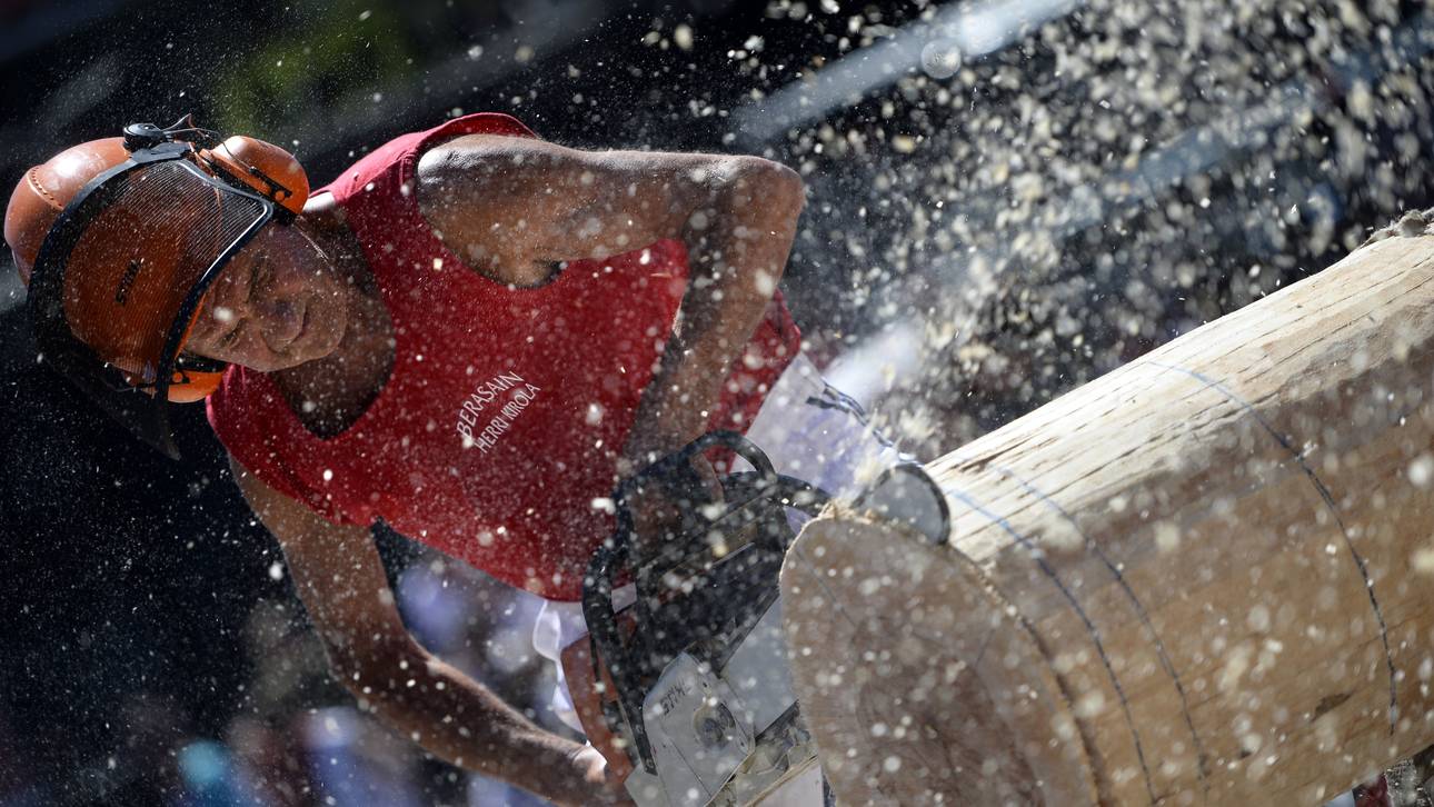 Timbersports Meisterschaft LIVE