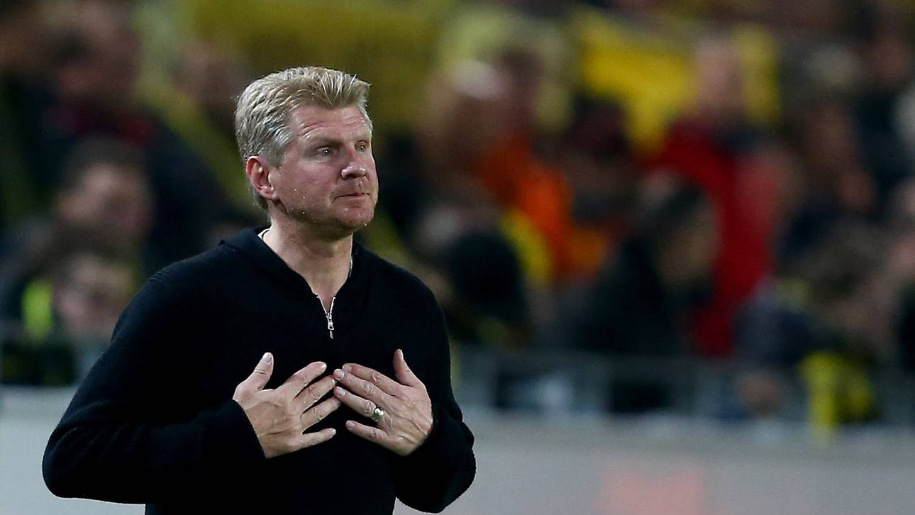 Tiger Effenberg leckt seine Wunden