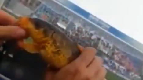 Serie A: Sassuolo-Fan fängt Fisch im Wassergraben während Chievo-Spiel, Ein Anhänger von Sassuolo Calcio fängt diesen Fisch während des Spiels