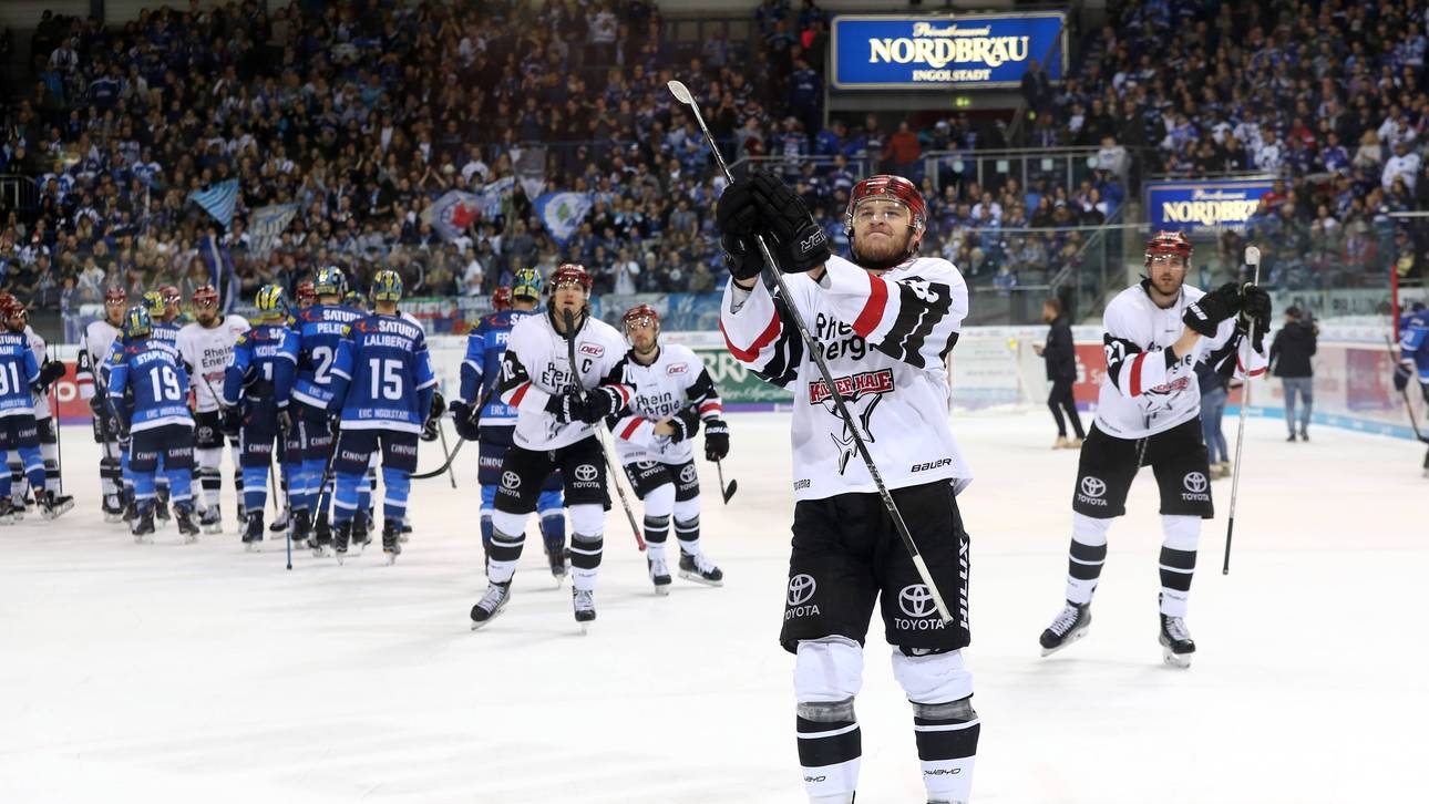 Haie und Adler direkt in Playoffs