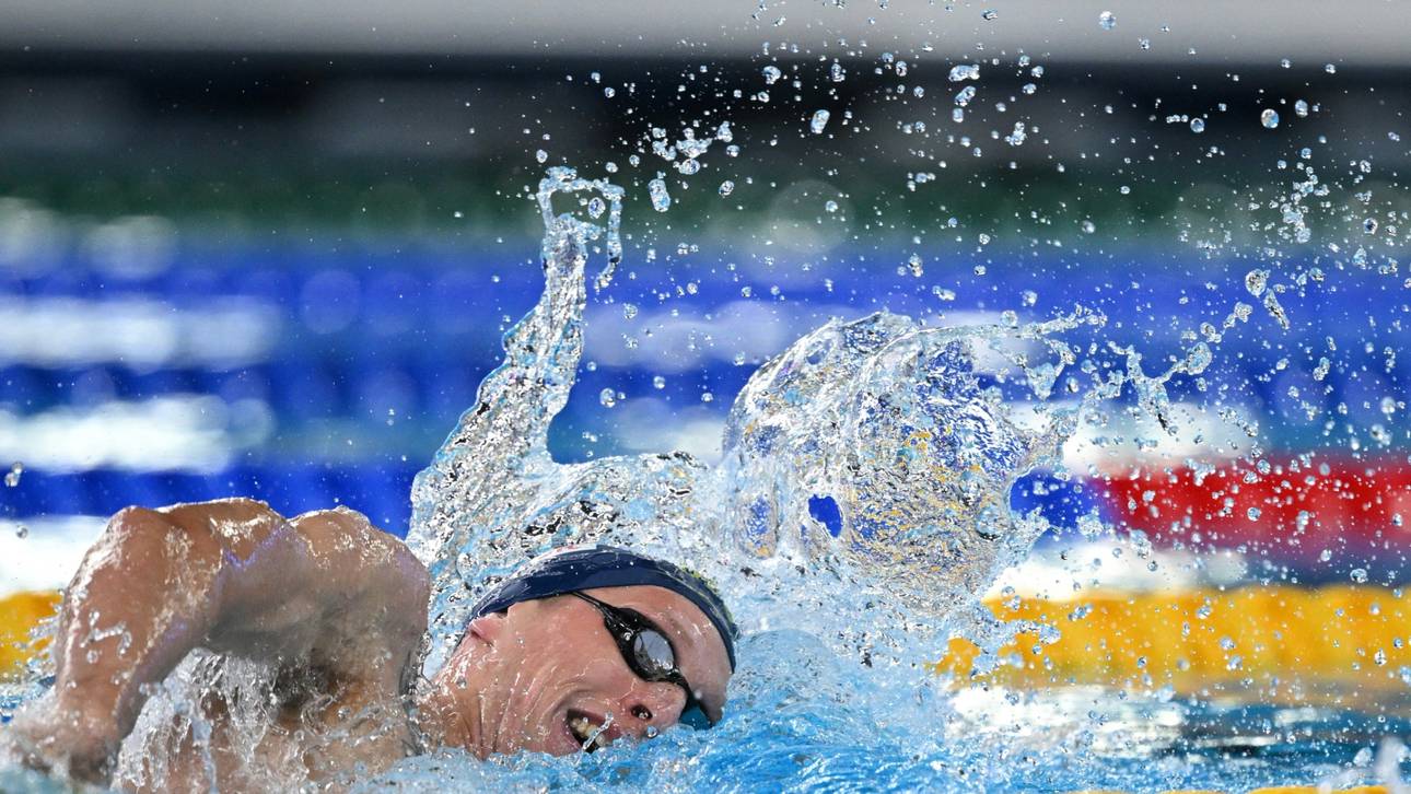 Wellbrock schlägt bei WM zurück