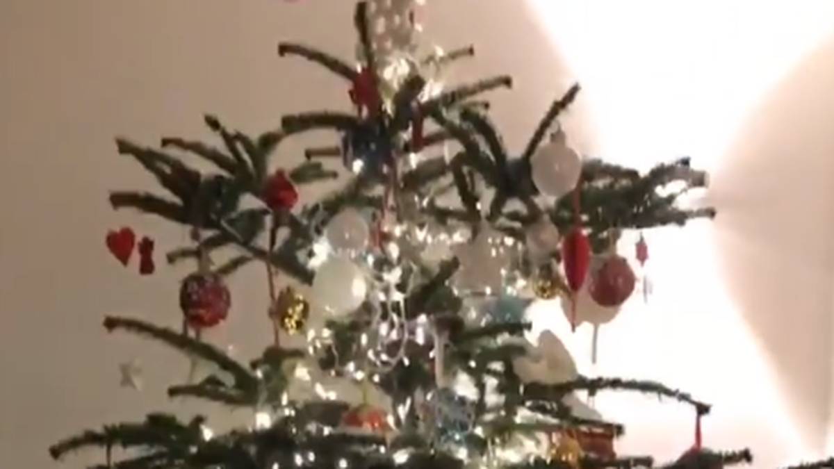 Auch im Hause Boateng/Satta ist der Baum festlich aufgebunden