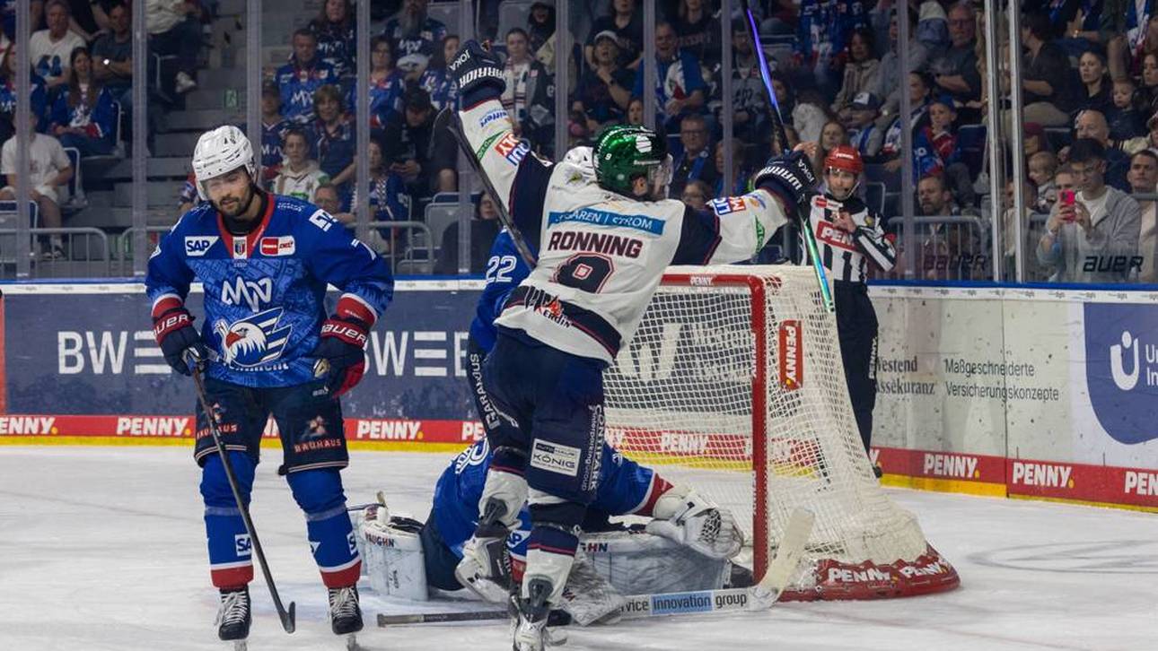 Die Eisbären sind erneut Meister!