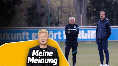 SPORT1-Experte Stefan Effenberg zeigt sich nach der Trennung von Fredi Bobic und Hertha BSC irritiert