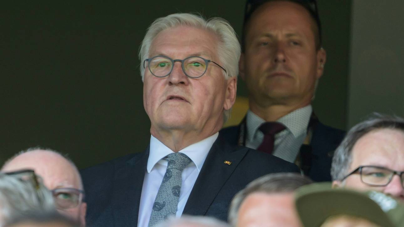 Steinmeier kritisiert DFB-Elf