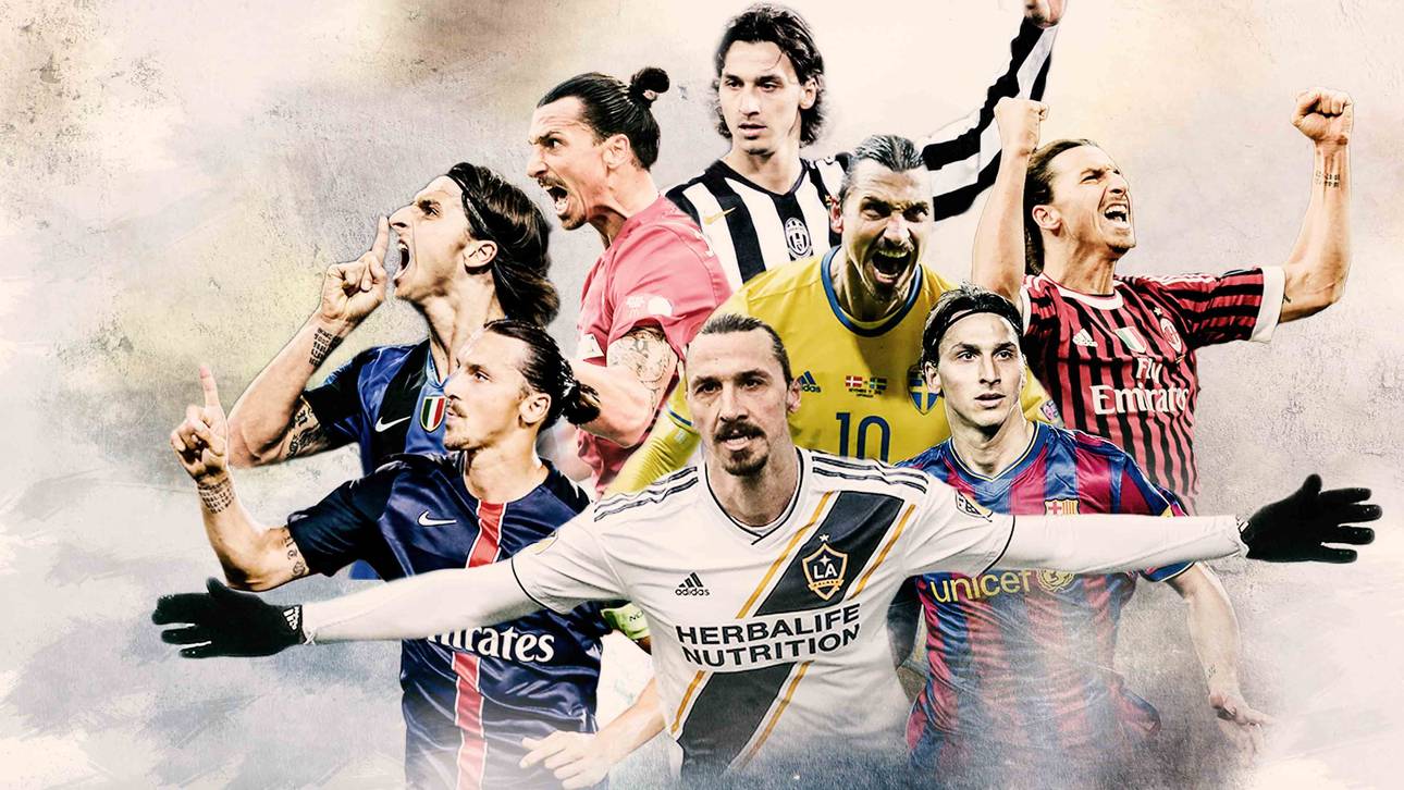 So teilen sich Ibras 500 Tore auf