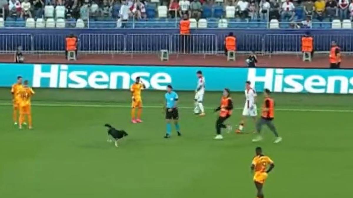 Ein Hund sorgt bei der U21-EM für eine kuriose Unterbrechung