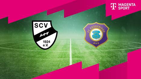 SC Verl - Erzgebirge Aue: Tore und Highlights | 3. Liga
