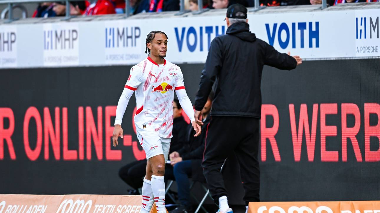 So plant Rose ohne Xavi