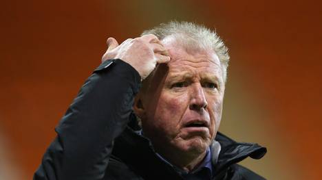 England: Steve McLaren bei Queens Park Rangers entlassen, Steve McClaren trainierte auch den VfL Wolfsburg in der Bundesliga