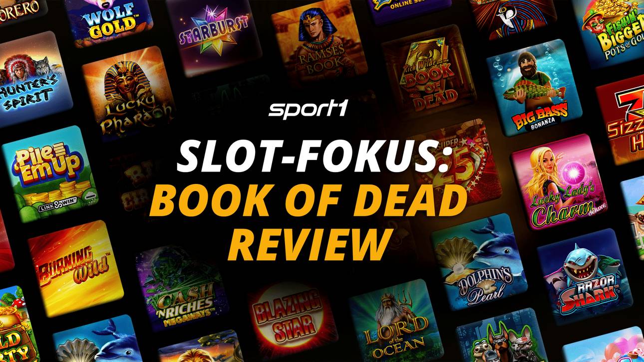 Book of Dead Review 2026: Alle Regeln, Features und Fakten