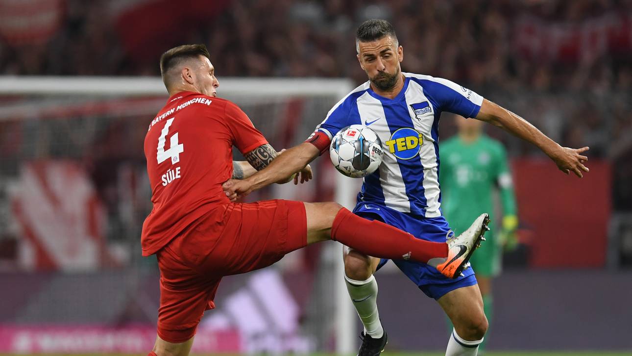 Stimmen: Ibisevic sauer wegen VAR