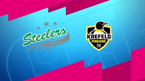 Bietigheim Steelers - Krefeld Pinguine: Tore und Highlights | PENNY DEL