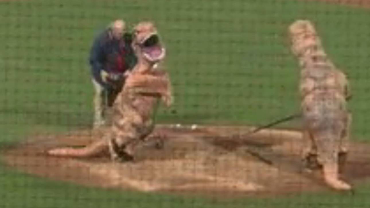 Verrückte Dinosaurier als Platzwart