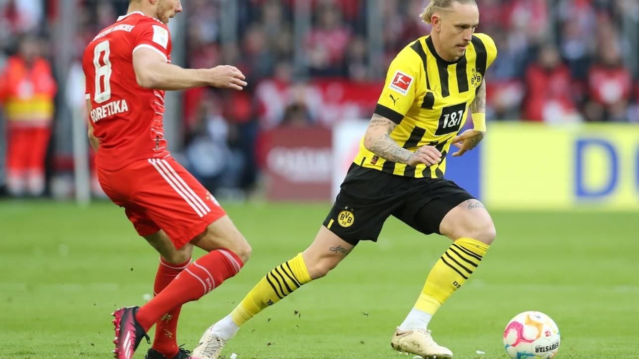 BVB ohne erkrankten Wolf