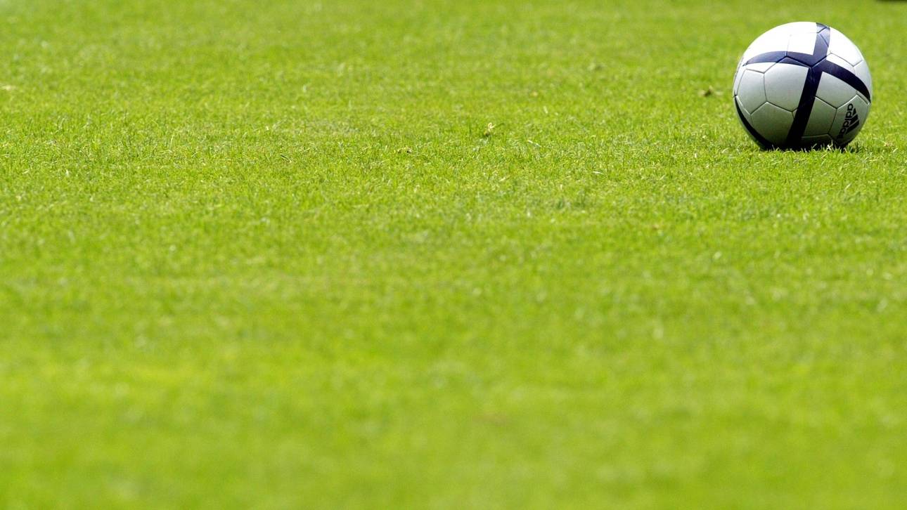 Rasen-Revolution in der Niederlande