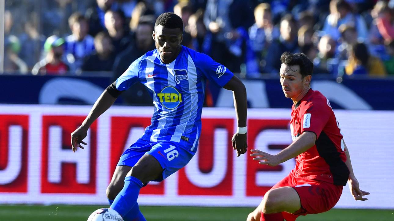 Herthaner im Oranje-Aufgebot