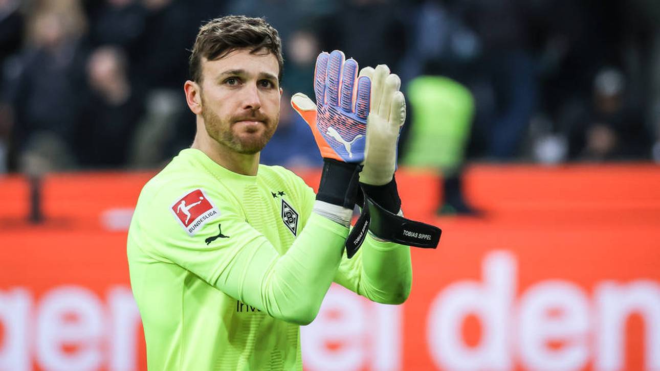 Sippel zum VfB? Das ist dran