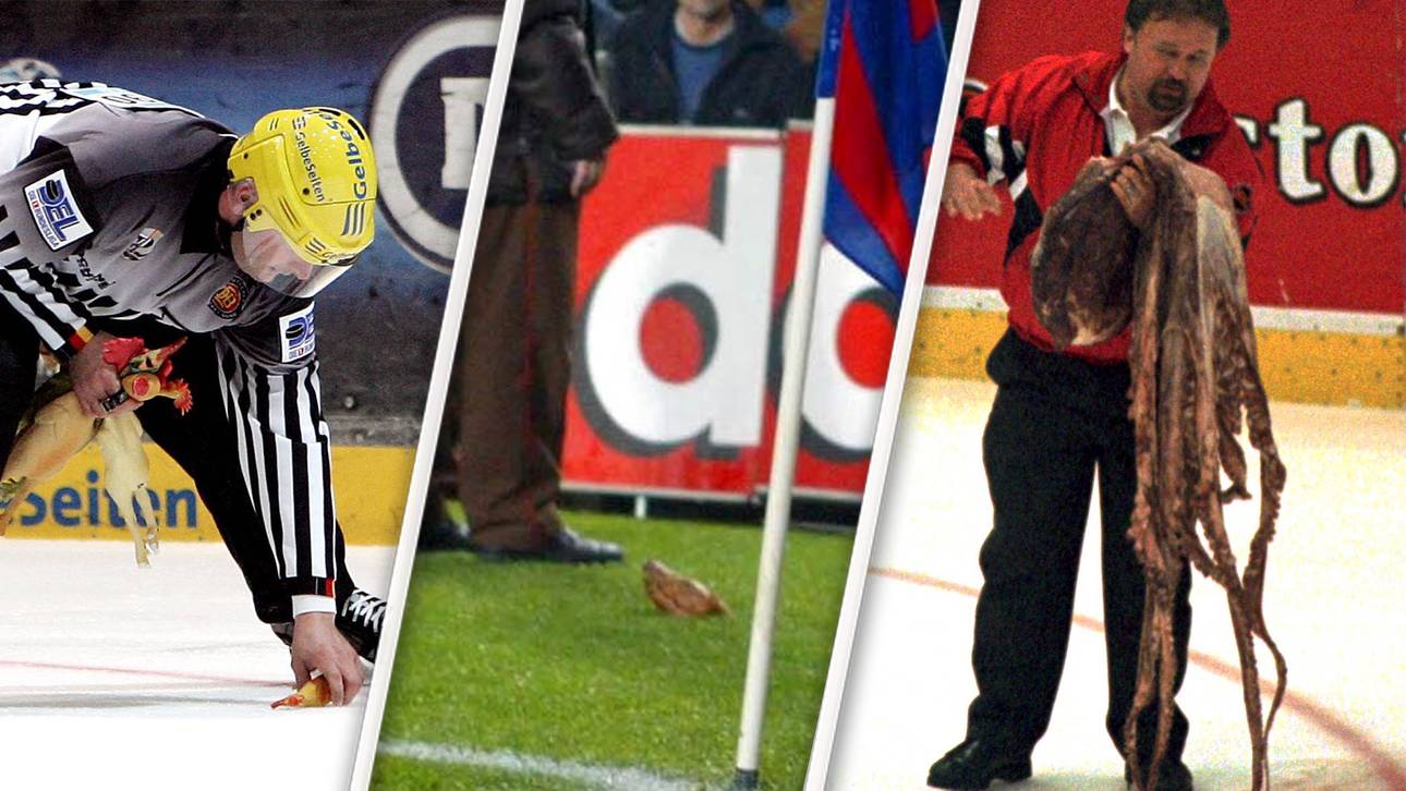 Die verrücktesten Fan-Wurfgeschosse