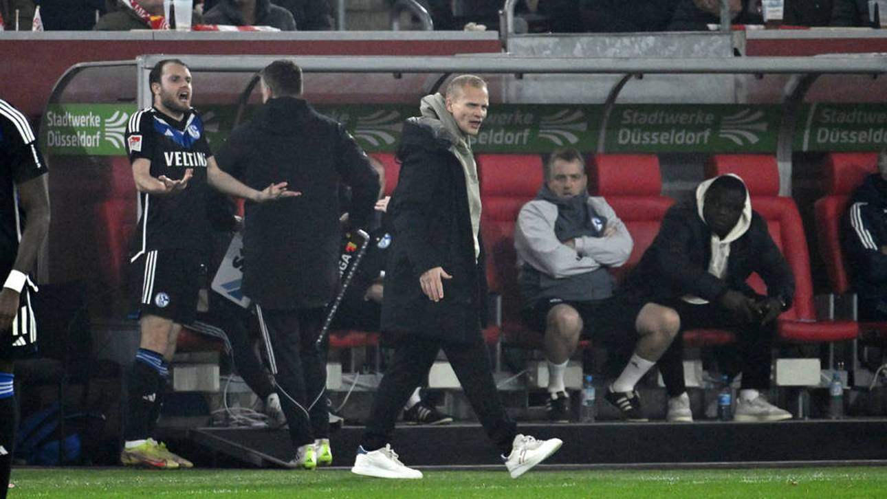 Trainer-Zoff! Schalke greift durch