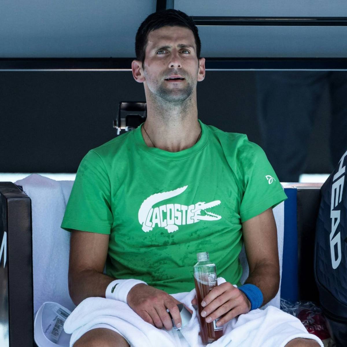 Novak Djokovic plant offenbar, schon im kommenden Jahr zu den Australian Open zurückzukehren.