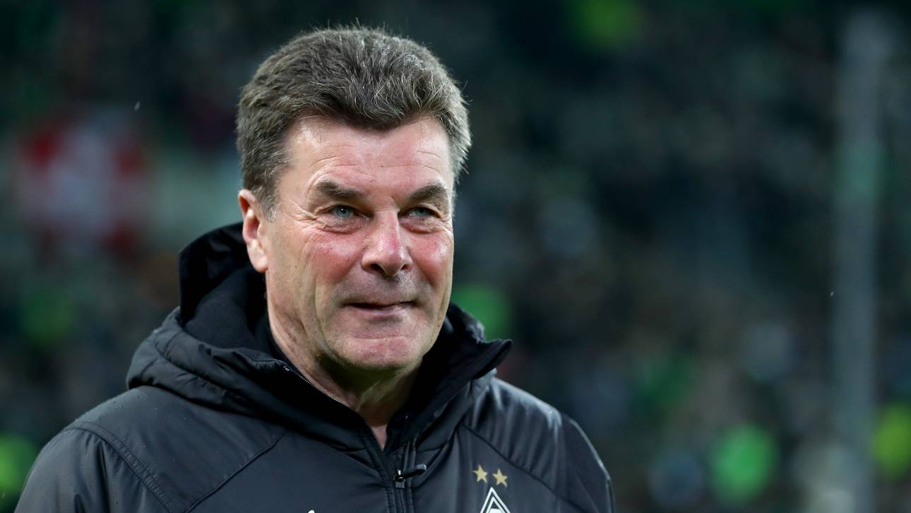 Hecking offen für Sportdirektor-Job