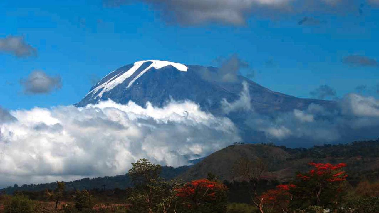 Fußballerinnen gelingt Weltrekord